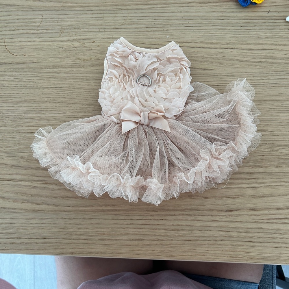 Elegant Baby Pink Dog Dress with Bow